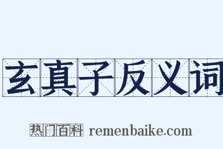 玄真子反义词是什么意思的图片